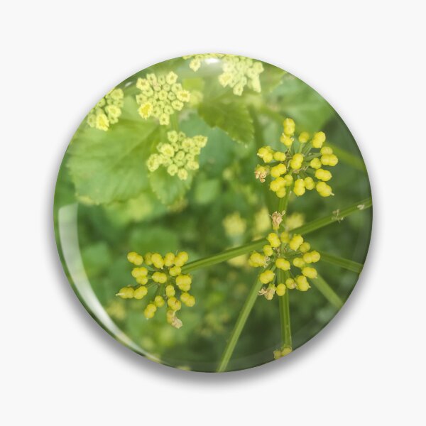 Item preview, Cow parsley designed and sold by Seeyouspoon.