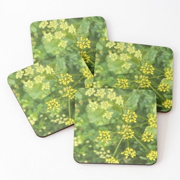 Item preview, Cow parsley designed and sold by Seeyouspoon.