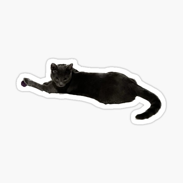 Item preview, attractive grey kitten posing for the camera designed and sold by reallylittlecat.