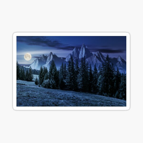 forest in mountains with rocky peaks at night Sticker