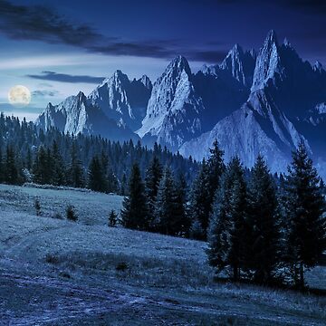 Artwork thumbnail, spruce trees on hillside in mountains at night by mike-pellinni