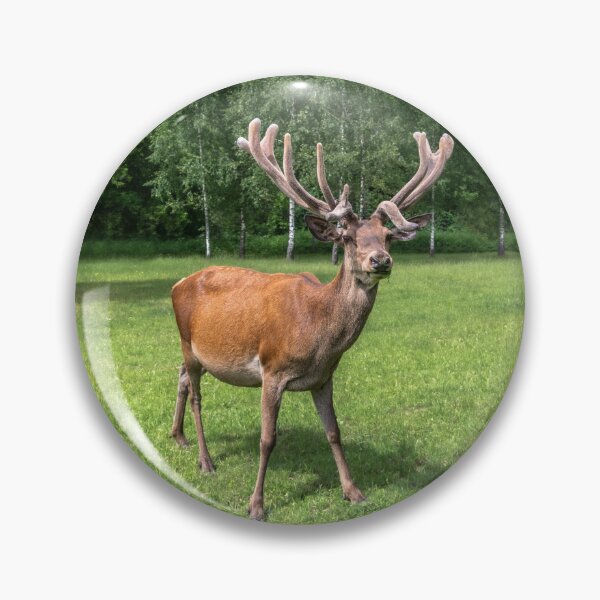 Item preview, Portrait of a majestic red deer designed and sold by AlbertMi.