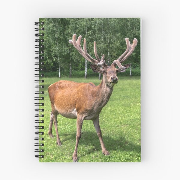 Item preview, Portrait of a majestic red deer designed and sold by AlbertMi.
