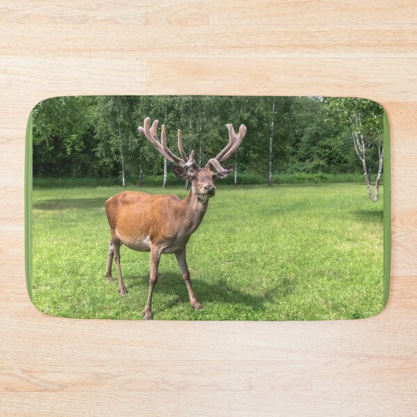 Item preview, Portrait of a majestic red deer designed and sold by AlbertMi.