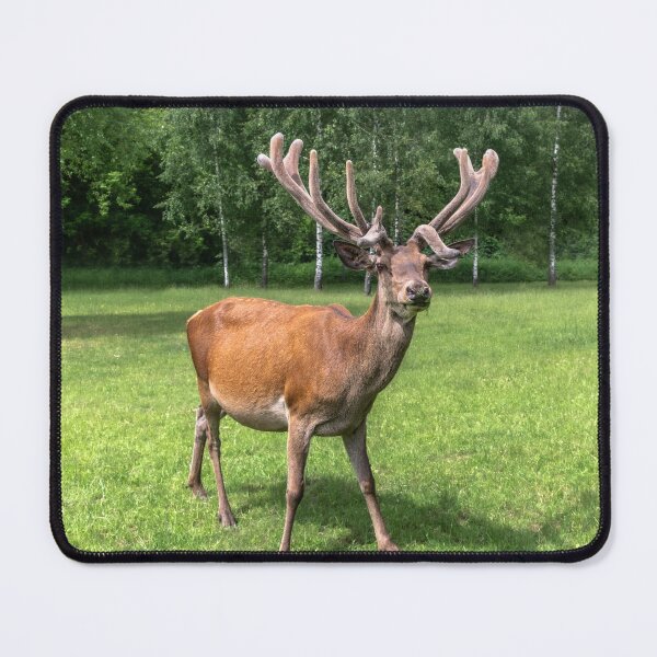 Item preview, Portrait of a majestic red deer designed and sold by AlbertMi.