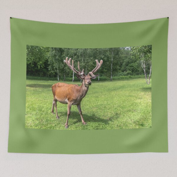 Item preview, Portrait of a majestic red deer designed and sold by AlbertMi.