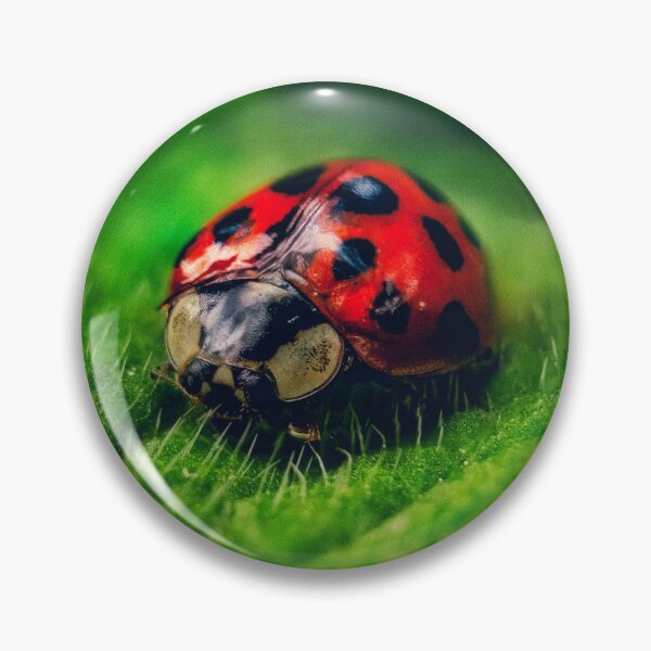 Item preview, Ladybird macro designed and sold by Rebelkj.