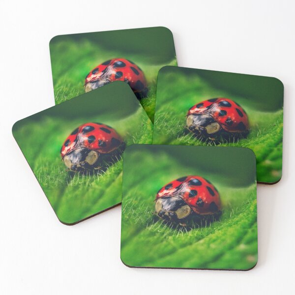 Item preview, Ladybird macro designed and sold by Rebelkj.