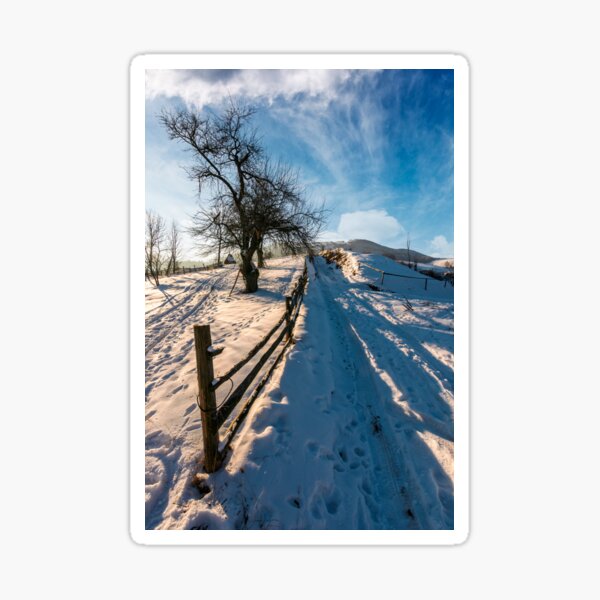 fence and tree by the road uphill in winter Sticker