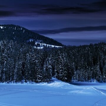 Artwork thumbnail, snowy meadow in winter spruce forest at night by mike-pellinni