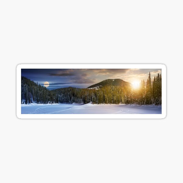 day and night concept of winter spruce forest Sticker