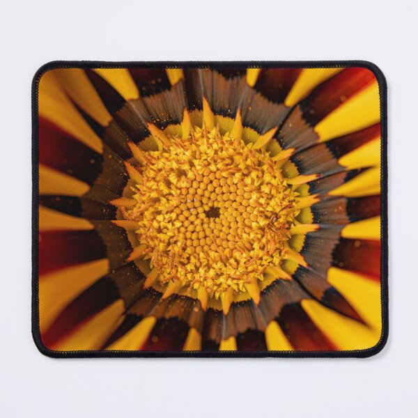 Item preview, Treasure Flower (gazania rigens) designed and sold by PhotosByFelix.