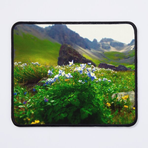 Item preview, Columbines in the San Juans of Colorado designed and sold by MaxBroxson.