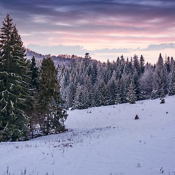 Artwork thumbnail, spruce forest on a snowy hillside at dusk by mike-pellinni