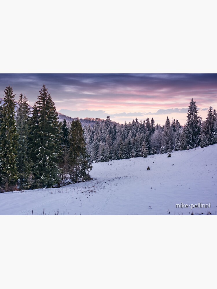 Thumbnail 3 of 3, Sticker, spruce forest on a snowy hillside at dusk designed and sold by mike-pellinni.