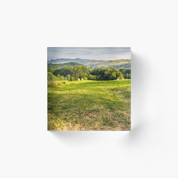 grassy rural field in mountains Acrylic Block