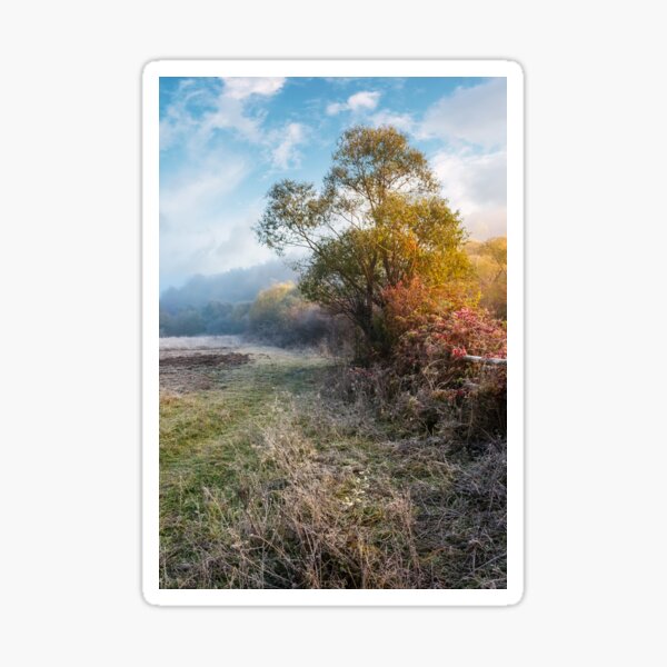 plants and trees on frosty autumn morning Sticker