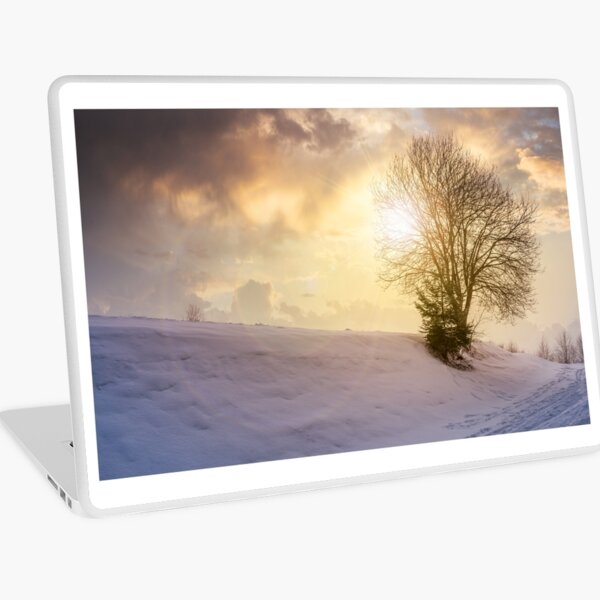 leafless tree on snowy slope at sunset Laptop Skin
