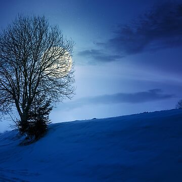Artwork thumbnail, leafless tree on snowy slope at night by mike-pellinni