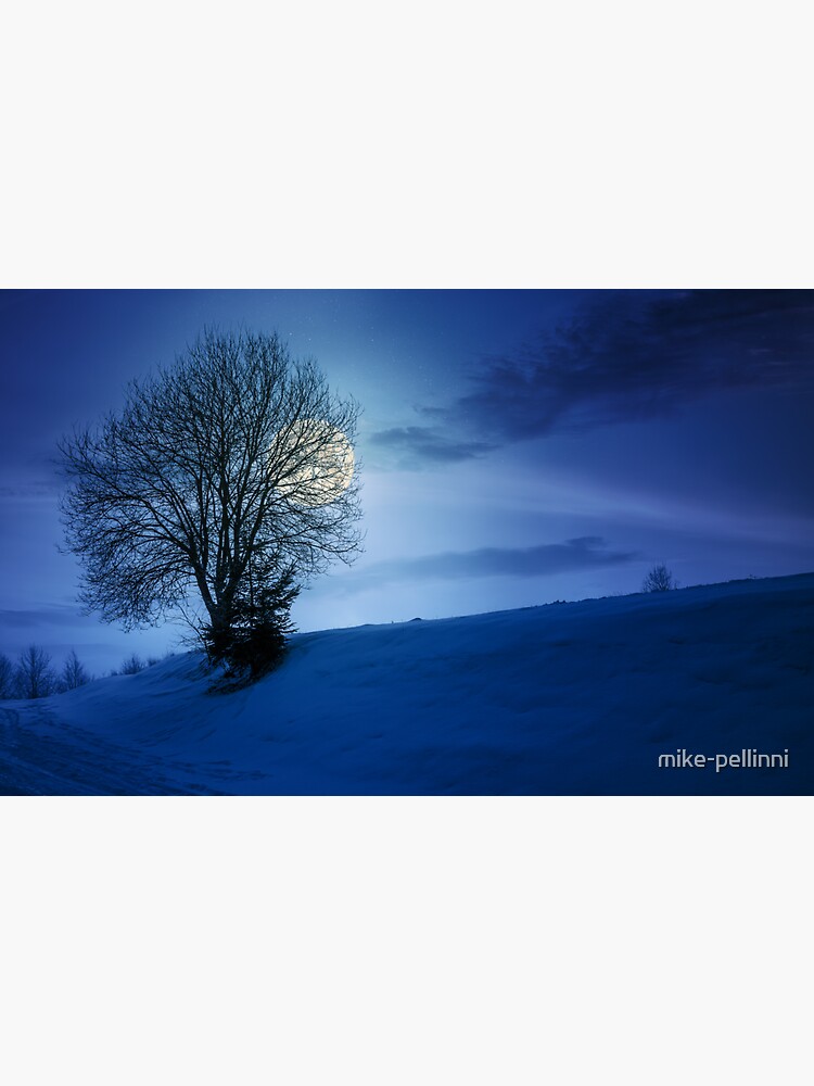 Thumbnail 3 of 3, Sticker, leafless tree on snowy slope at night designed and sold by mike-pellinni.