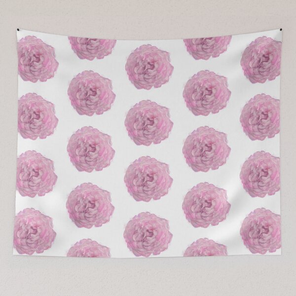 Artikelvorschau, Rosa Rose Blume, Isolated on White Background entworfen und verkauft von svetlanna.