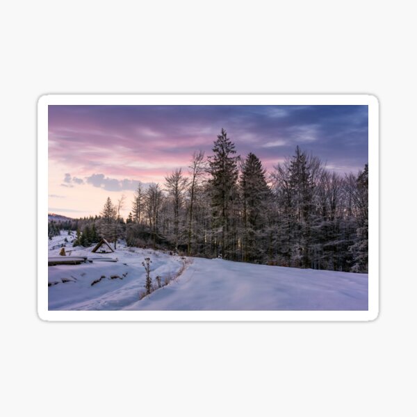 forest in hoarfrost on snowy hillside at dawn Sticker