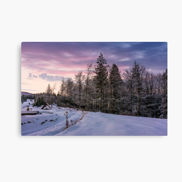 forest in hoarfrost on snowy hillside at dawn Canvas Print