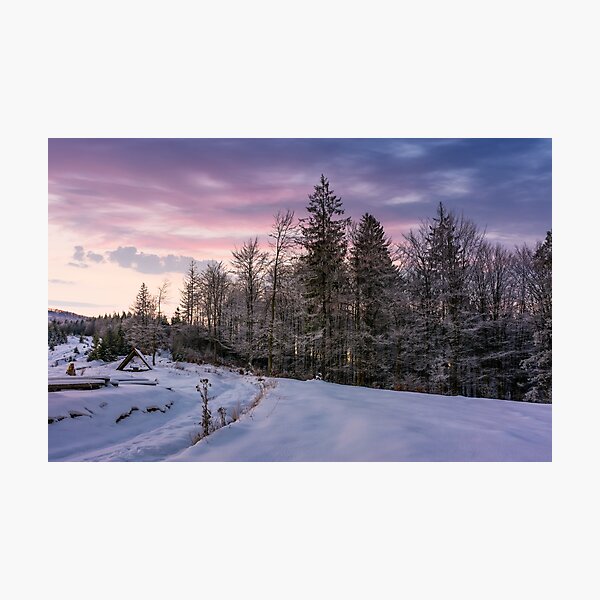 forest in hoarfrost on snowy hillside at dawn Photographic Print