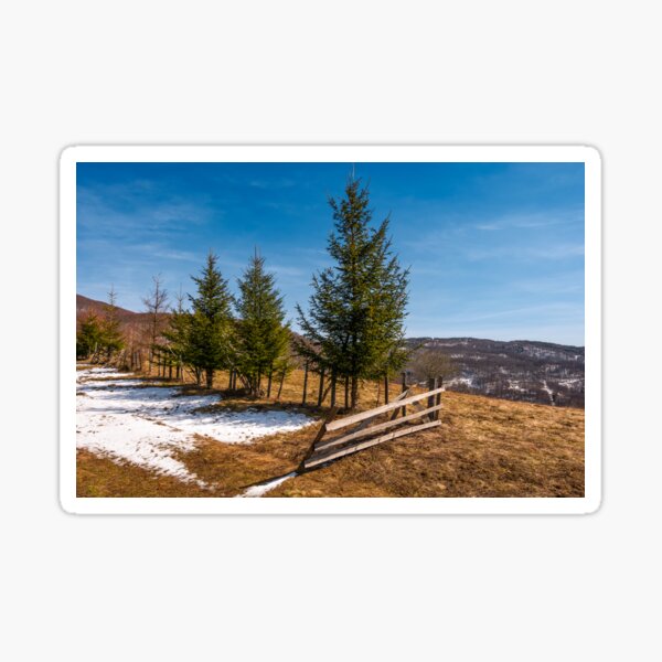 spruce trees near the fence on hillside Sticker