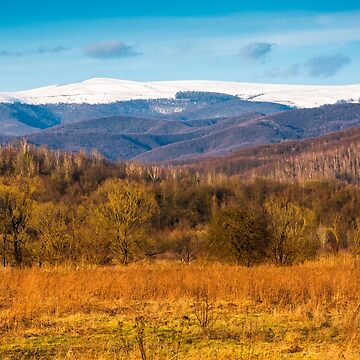 Artwork thumbnail, beautiful springtime scenery in mountains by mike-pellinni