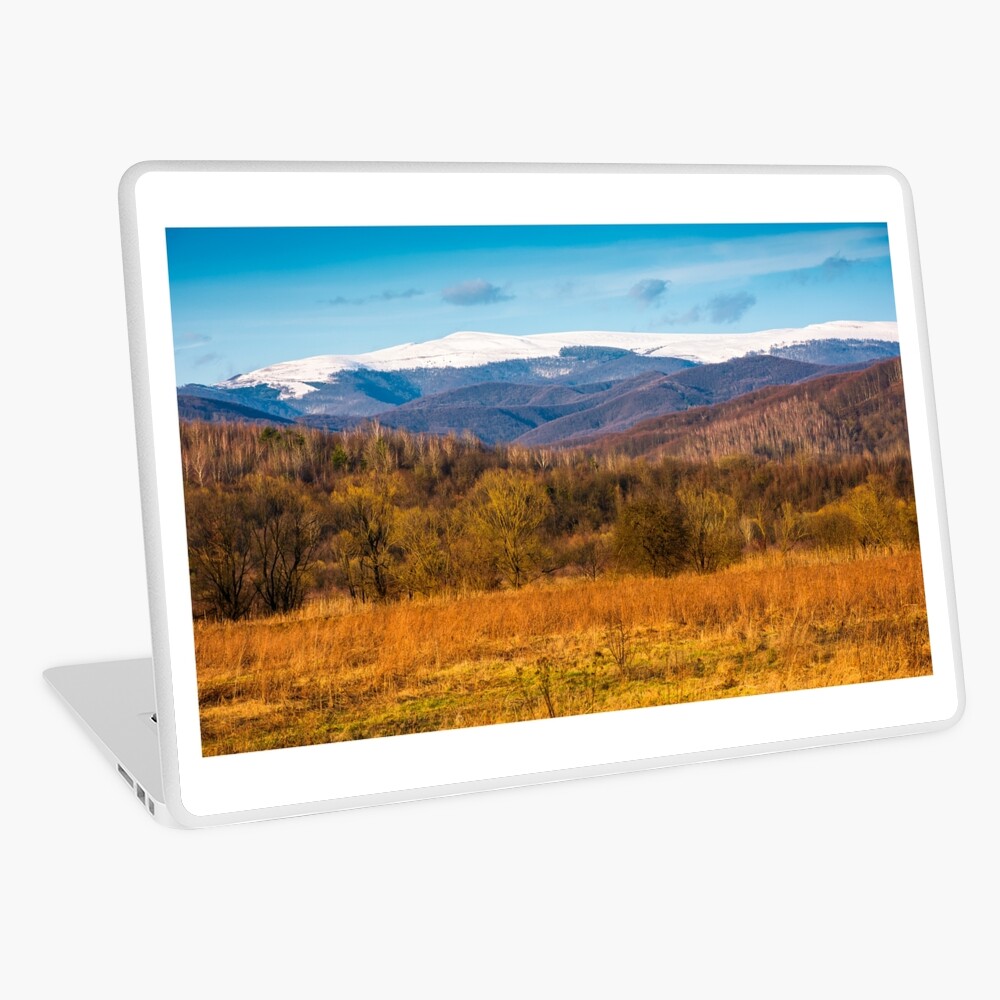 Item preview, Laptop Skin designed and sold by mike-pellinni.