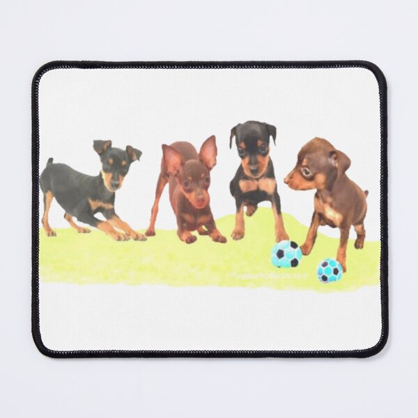 Item preview, 4 Min Pins designed and sold by AggysShepherds.