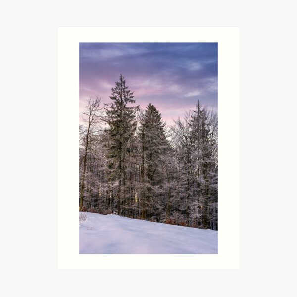 forest in hoarfrost on snowy hillside at dawn Art Print