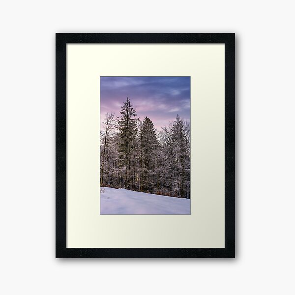 forest in hoarfrost on snowy hillside at dawn Framed Art Print