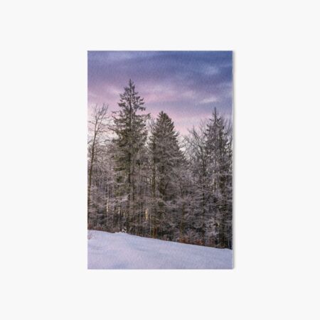 forest in hoarfrost on snowy hillside at dawn Art Board Print