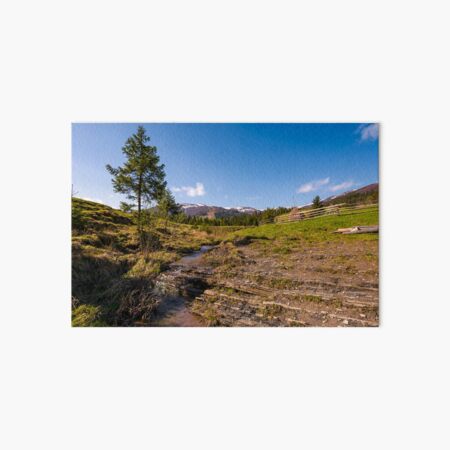 Carpathian alpine countryside in springtime Art Board Print