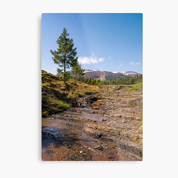 Carpathian alpine countryside in springtime Metal Print