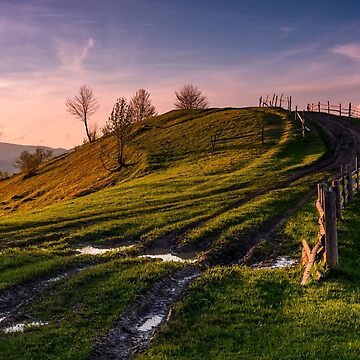 Artwork thumbnail, fence along the country road uphill at dusk by mike-pellinni