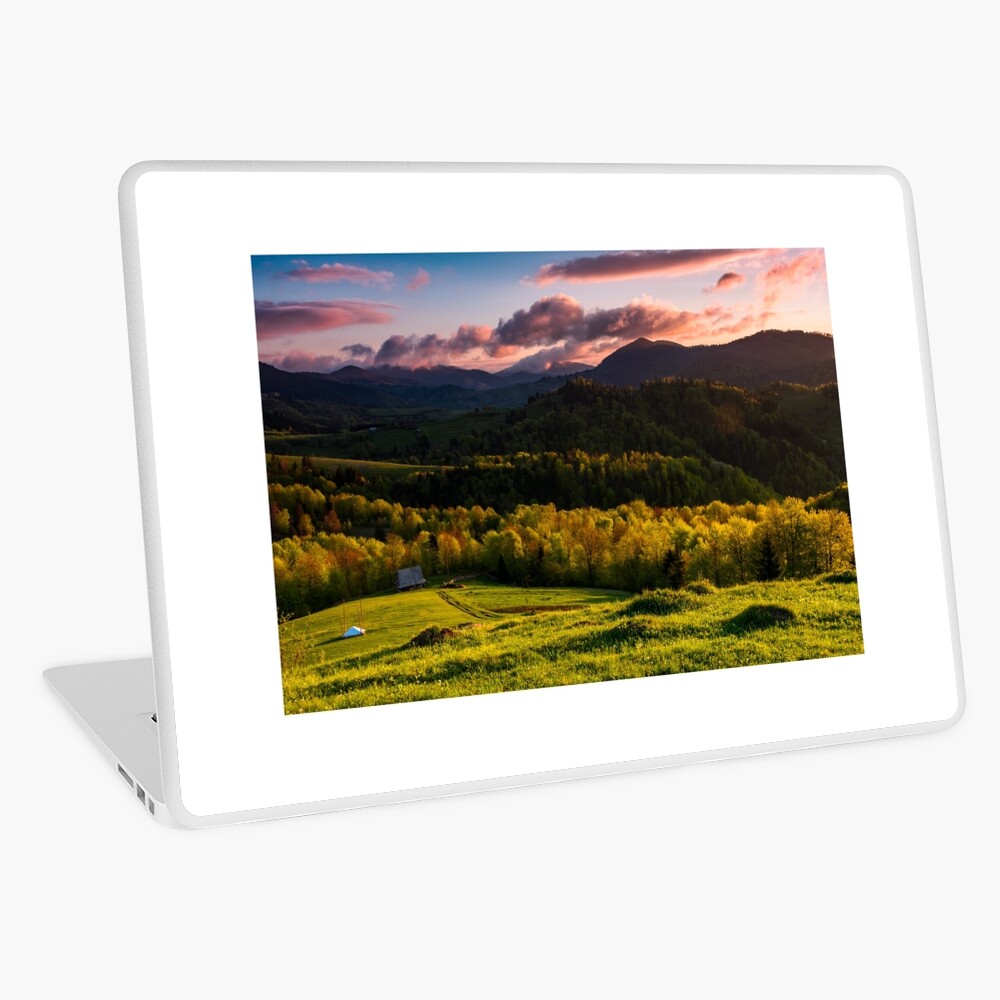 Item preview, Laptop Skin designed and sold by mike-pellinni.