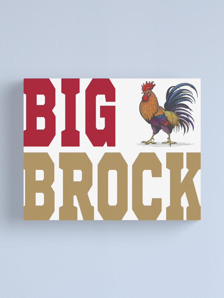 Big cock brock purdy is good san francisco football shirt, hoodie, sweater,  long sleeve and tank top