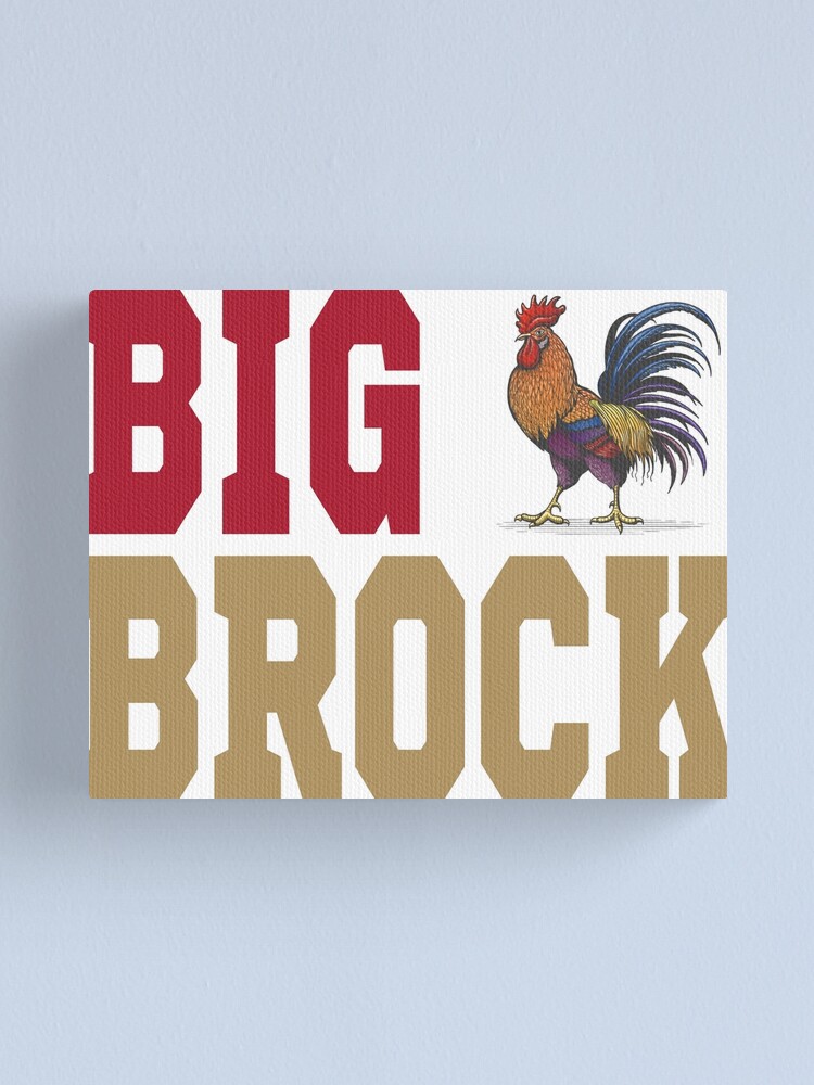 Big cock brock san francisco football shirt, hoodie, sweater and long sleeve