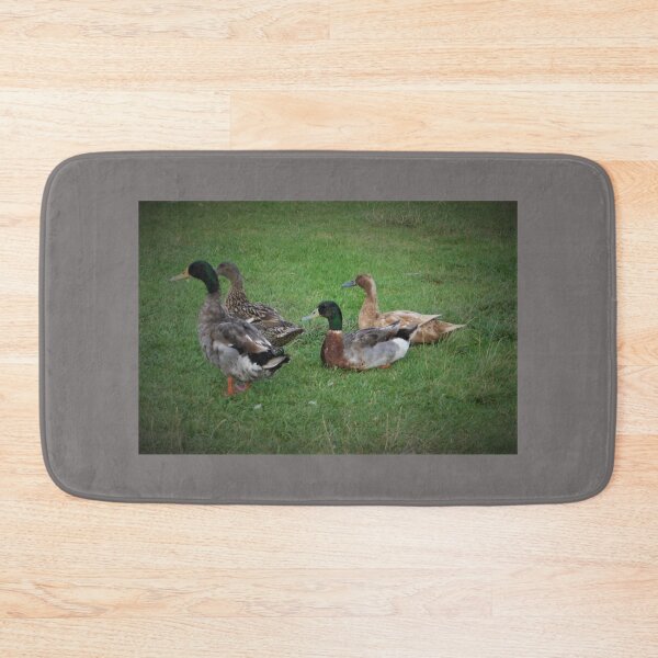 Item preview, Ducks on the Grass designed and sold by KazM.