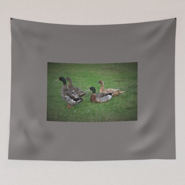 Item preview, Ducks on the Grass designed and sold by KazM.