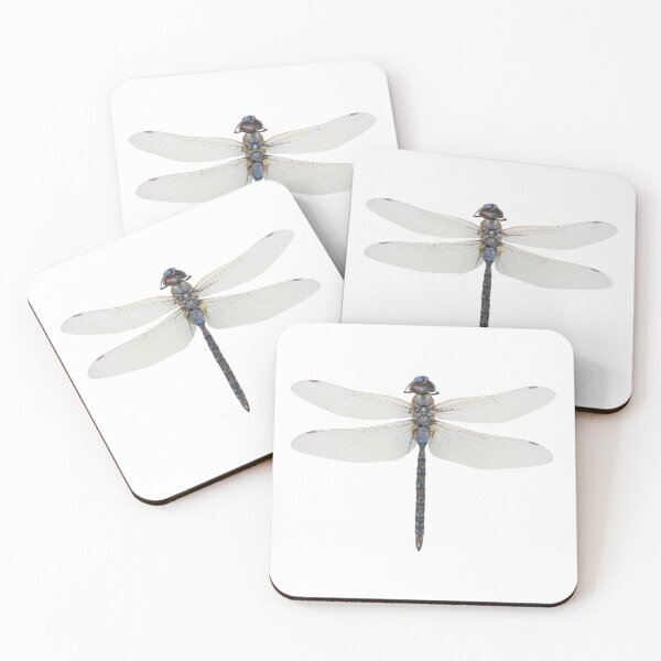 Item preview, Blue-eyed Darner, Aeshna multicolor from Arizona designed and sold by bromsbugbox.