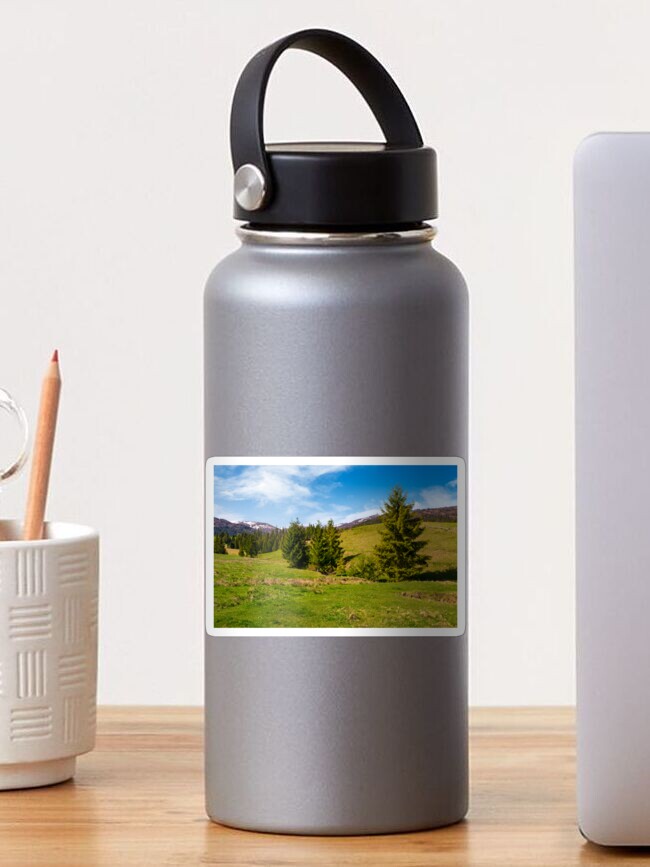 Thumbnail 1 of 3, Sticker, spruce forest on a grassy hill in spring designed and sold by mike-pellinni.