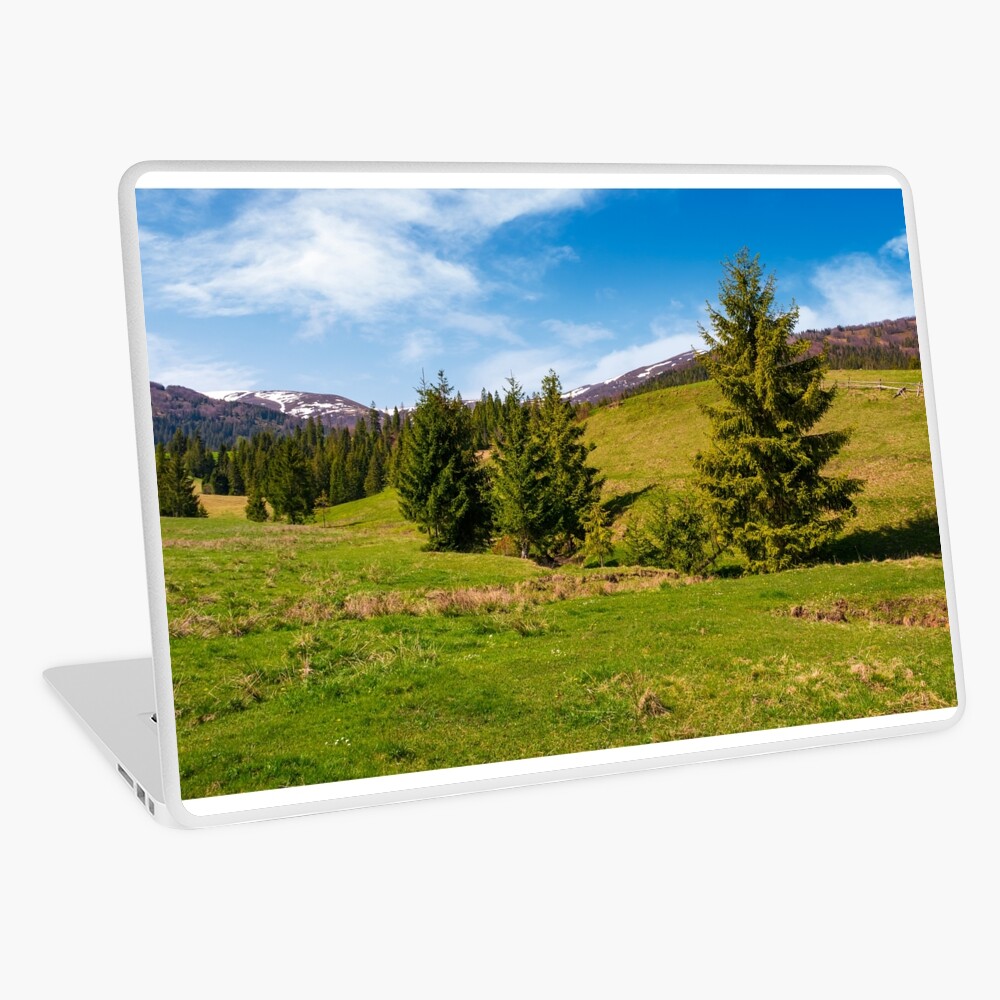 Item preview, Laptop Skin designed and sold by mike-pellinni.