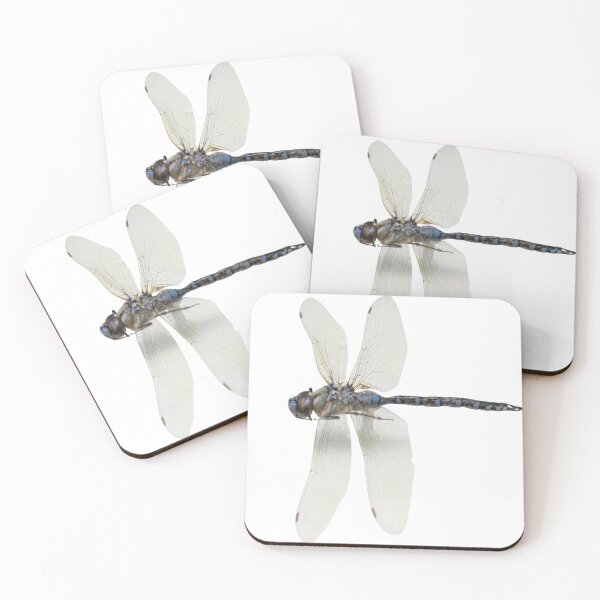 Item preview, Blue-eyed Darner, Aeshna multicolor from Arizona designed and sold by bromsbugbox.