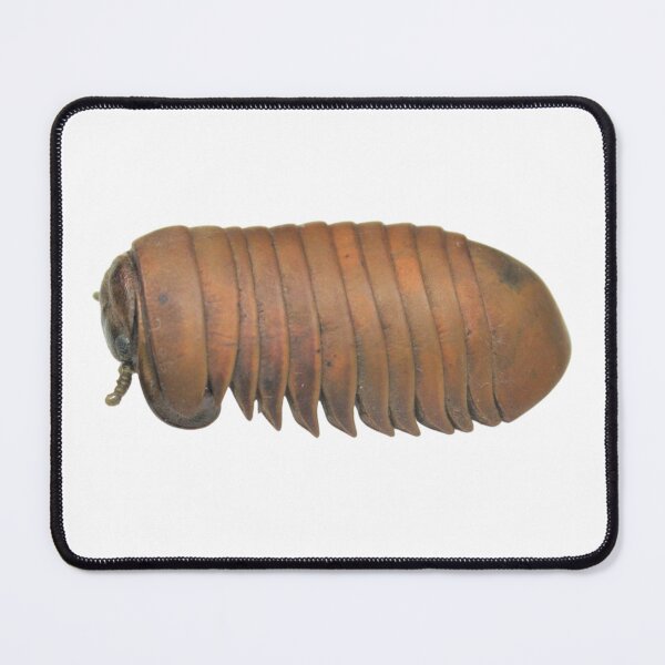 Item preview, The Peed 2 designed and sold by bromsbugbox.