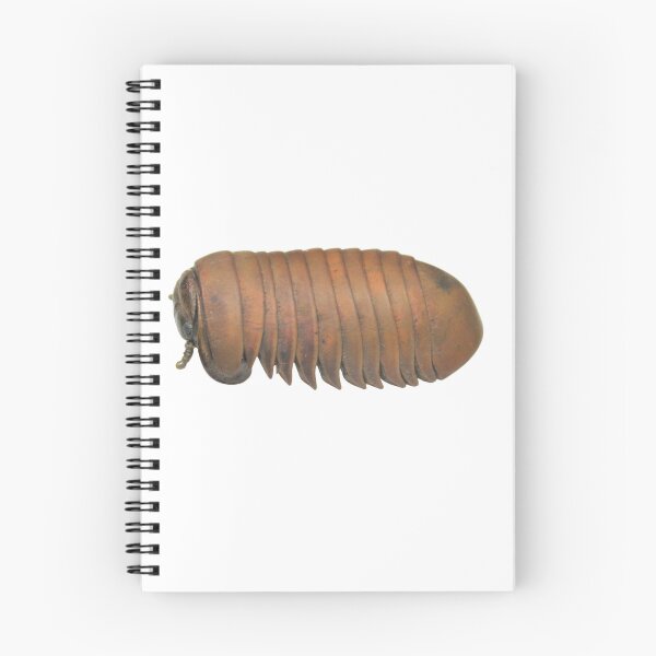 Item preview, The Peed 2 designed and sold by bromsbugbox.