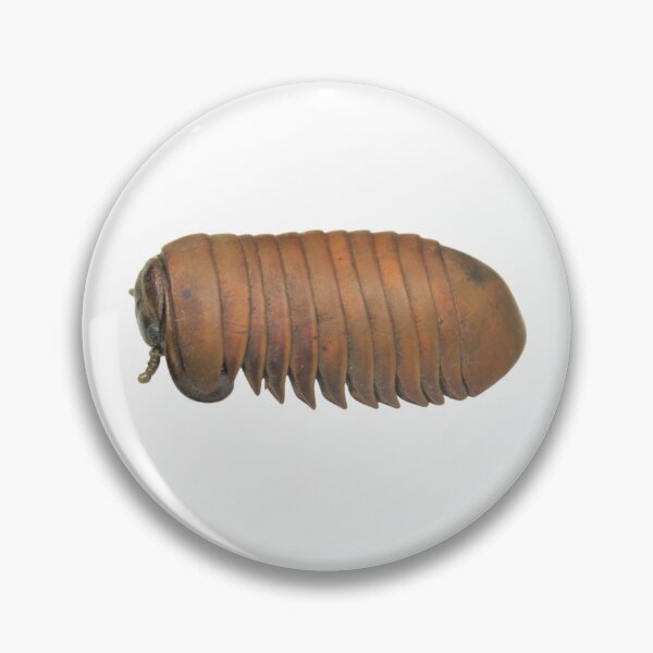 Item preview, The Peed 2 designed and sold by bromsbugbox.